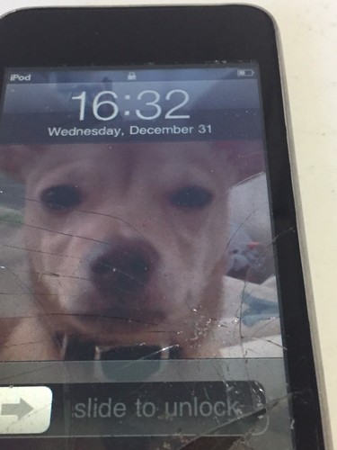 Ipod 16gb - ipod,